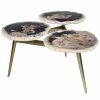 * Handmade Petrified Coffee Table Home Coffee Tables